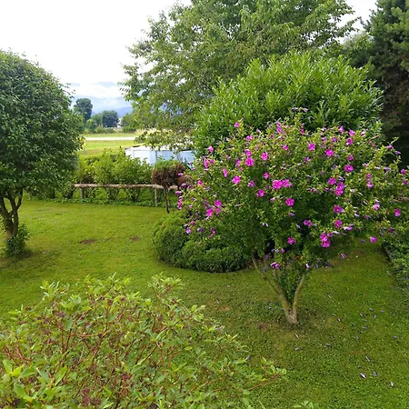 Moka Near Bled - Entire House With Garden, Grill & Free Parking *