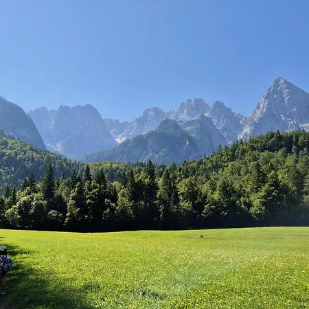 Moka Near Bled-entire Place With Garden Retreat * Lesce (Upper Carniola)