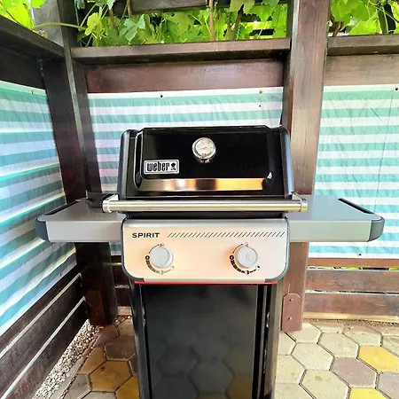 Villa Moka Near Bled-entire Place With Garden Retreat Lesce (Upper Carniola)