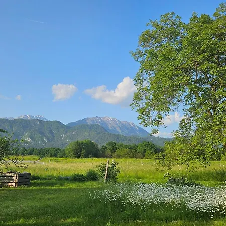 Moka Near Bled-entire Place With Garden Retreat * Lesce (Upper Carniola)