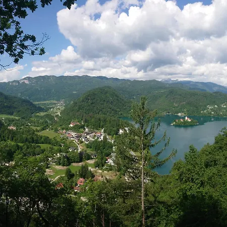 Entire For 6 Near Bled -private Garden, Grill & Free Parking *