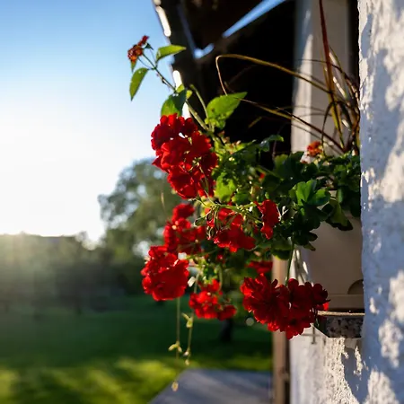 Вилла Entire For 6 Near Bled -private Garden, Grill & Free Parking *