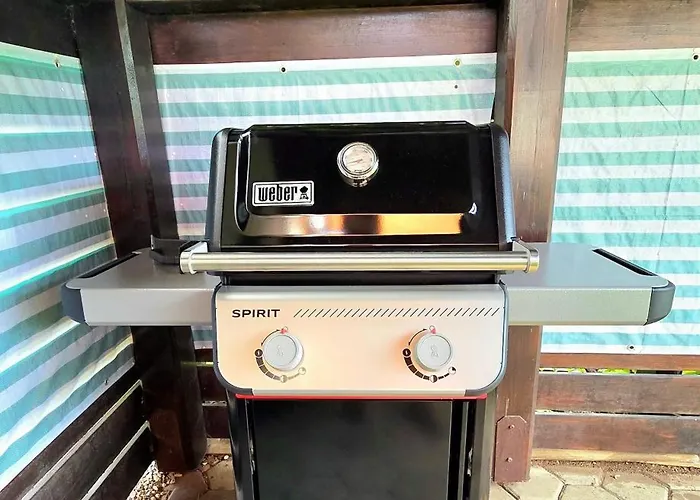 Villa Moka Near Bled-entire Place With Garden Retreat Lesce (Upper Carniola)